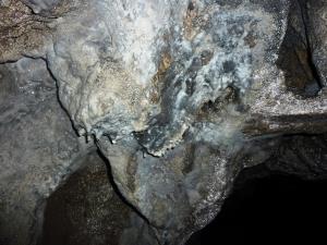 02 Pavlakova jama (Foto 2, Arhiv ZRSVN OE Celje)